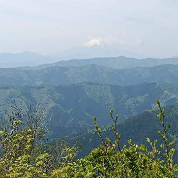 富士山の見える景色の画像 by ハッピーフライトさん | お出かけ先と大岳山と富士山の見える景色