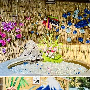 神社の画像 by レモン茶さん | お出かけ先と草薙神社と神社と静岡県