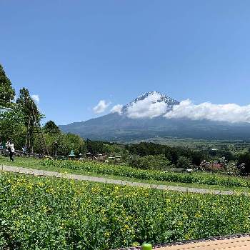 青い空の画像 by ミミンさん | お出かけ先と色が好きと花のある暮らしと青い空と富士山麓と花色が可愛い