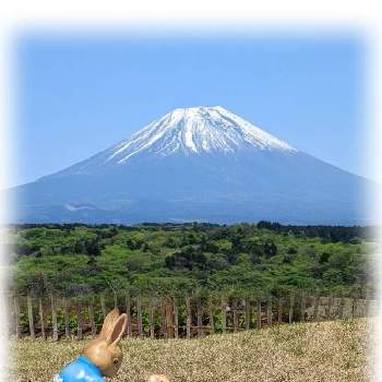  富士山の画像 by hirarinさん |  富士山とおしゃれな土曜日♪とhirarin バスツアーとチーム・ブルーNo.116と美しく青きドヨウとチーム・ブルー