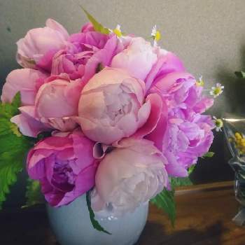ピンク同盟の画像 by きらまるさん | 玄関とピンク同盟と薔薇愛同盟とオシャレとB型と今日の一枚と芍薬♡ときれいな色とたまらん！と花のある暮らしとかわいいな♡とロザリアンとピンクハンター