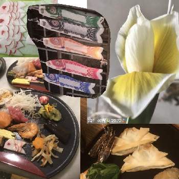 端午の節句の画像 by gattonaさん | テラスとGSのみなさんに感謝♡とアヤメ科とアイリスの花と端午の節句