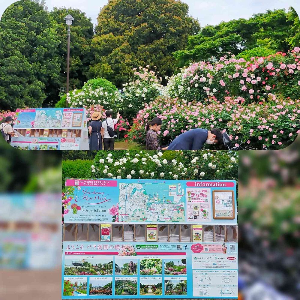 とりさんの港の見える丘公園への投稿