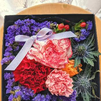きいろいお花の画像 by メープルミルクさん | 部屋とカーネーションと赤い花とピンクの花と紫のお花ときいろいお花と母の日と実のなる植物