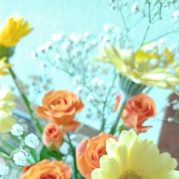 『そうだ、スーパーに花を買いに行こう』フォトコンテストの画像 by mimozaさん | 部屋とカスミソウとスプレーバラとガーベラとオレンジ色の花も好きと日曜ビタミンカラー♪と『そうだ、スーパーに花を買いに行こう』フォトコンテストとメルシーフラワーと#ハナカジといなげや