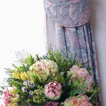 春やねぇ…の画像 by ウニ子さん | 部屋とお花いろいろとプレゼントと可愛いお花と感謝と春やねぇ…とお花のある暮らしとありがとうと美しいと綺麗とspringとおうちフラワーと母の日