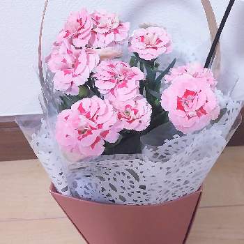 母の日ギフトの画像 by けいちゃんさん | 部屋とカーネーション♡とピンクの花と母の日のプレゼントと母の日ギフトと母の日
