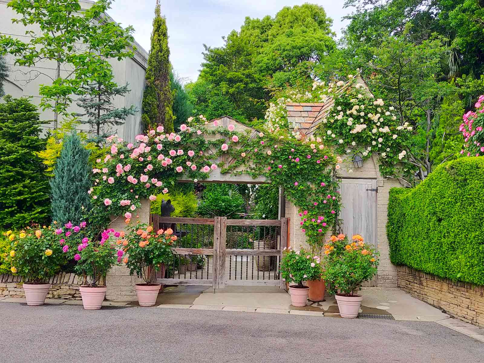 1652086264983_684259_20220509_