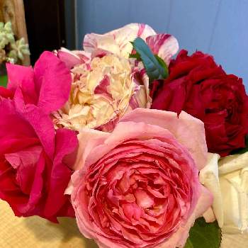 月曜日の画像 by レモングラス。さん | お出かけ先とバラと月曜日と季節のお花と白いお花と赤い花と花のある暮らしとピンク色のお花とバラ・ミニバラと良い香り
