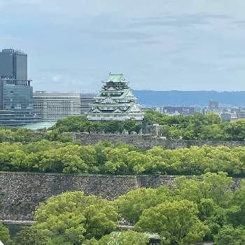 緑のある風景の画像 by H1207さん | お出かけ先と新緑と緑のある風景と大阪城公園と大阪城