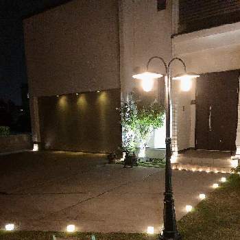ライトアップの画像 by まなあゆさん | ライトアップとシャラの木と夜の庭と芝生の庭と夜の庭から