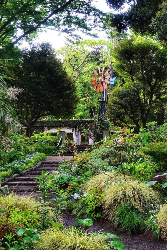 てくろくさんの港の見える丘公園への投稿