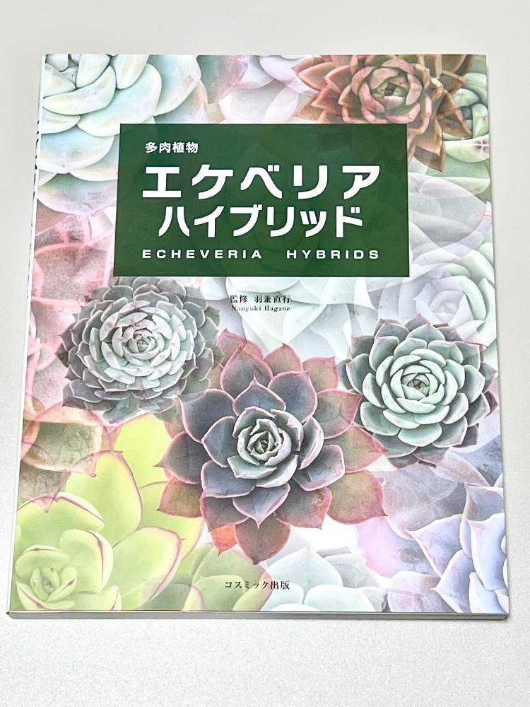 多肉植物 おすすめのエケベリア本 紹介 Greensnap グリーンスナップ