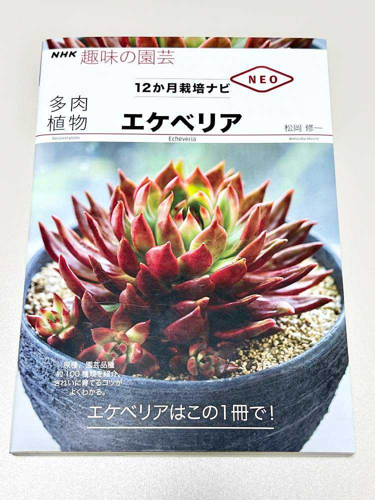 多肉植物 おすすめのエケベリア本📚紹介｜🍀GreenSnap（グリーンスナップ）