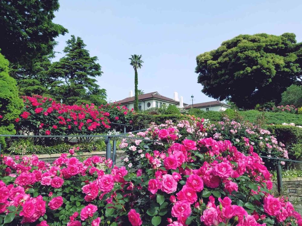 エリィさんの港の見える丘公園への投稿