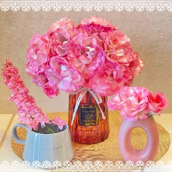 デルバールの画像 by AOAさん | 玄関とバラ ストロベリーアイスとラークスパーとバラ初心者とお花大好き♡とお気に入り♡とバラの成長記録とバラのある暮らしとおうち園芸と可愛すぎる♡とデルバールとキレイだな♡とピンク色の花と花のある暮らしとかわいいな♡