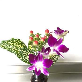 Bloomee,お花の定期便,花のサブスク,花活,ブーケの画像