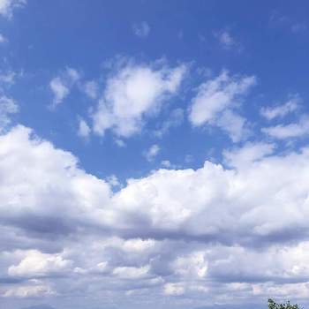 群馬県の画像 by こむらさきさん | お出かけ先と景色と雲仲間と大好き群馬とクッキーワールドと群馬県と青空