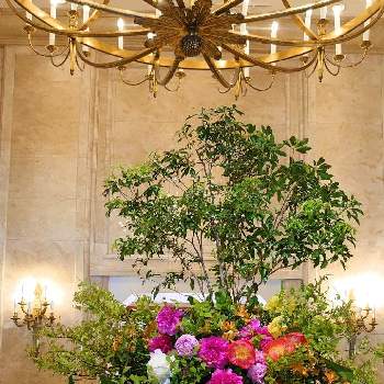 ホテルの花の画像 by ほりーさん | お出かけ先と芍薬とバラとアルストロメリアとアセビと花散歩とホテルの花と季節の花とフラワーアレンジメントと花のある暮らし