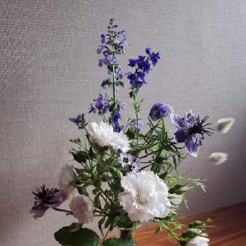 ホワイトグルーテンドルストの画像 by keiraさん | ホワイトグルーテンドルストとホワイト・グルーテンドルストと庭の花と咲いてくれてありがとう❤と花を飾ると暮らしに花をとブルー系のお花と庭の花を飾る