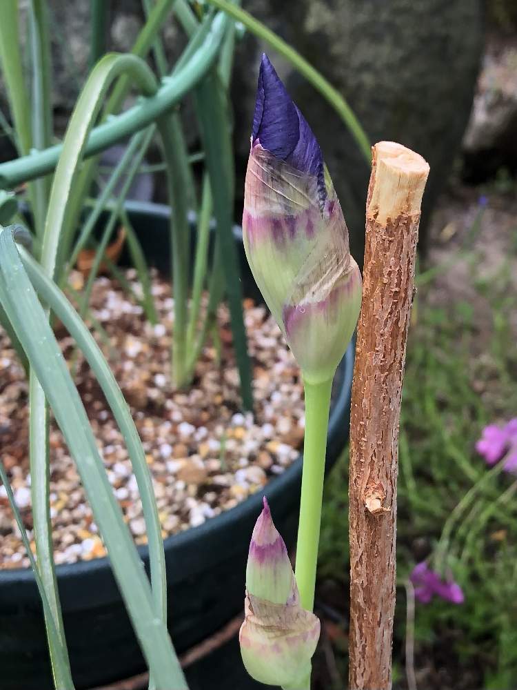 Lye5yxfylicwkm Lye5yxfylicwkm