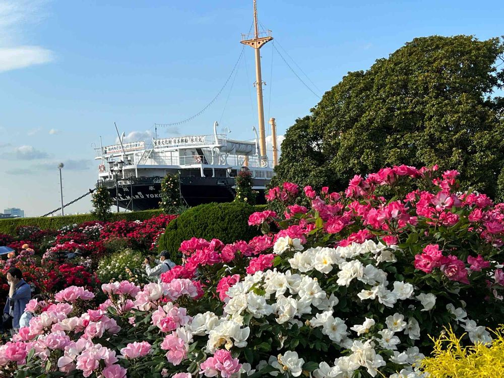 yaccoさんの山下公園への投稿