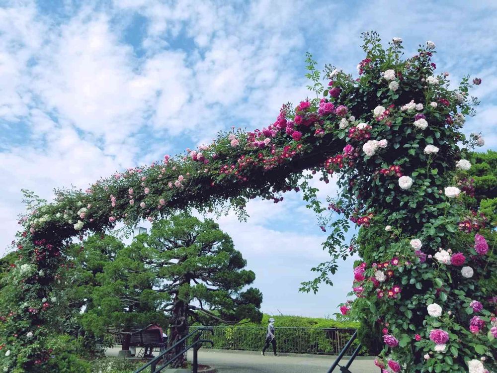 エリィさんの港の見える丘公園への投稿