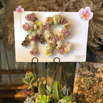 開店祝いの画像 by コロすけさん | 部屋と多肉植物とドライフラワーと花のある暮らしと開店祝い