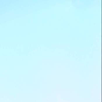  ネモフィラの画像 by haluさん | ひたち海浜公園とみはらしの丘と ネモフィラとみつけたと国営ひたち海浜公園
