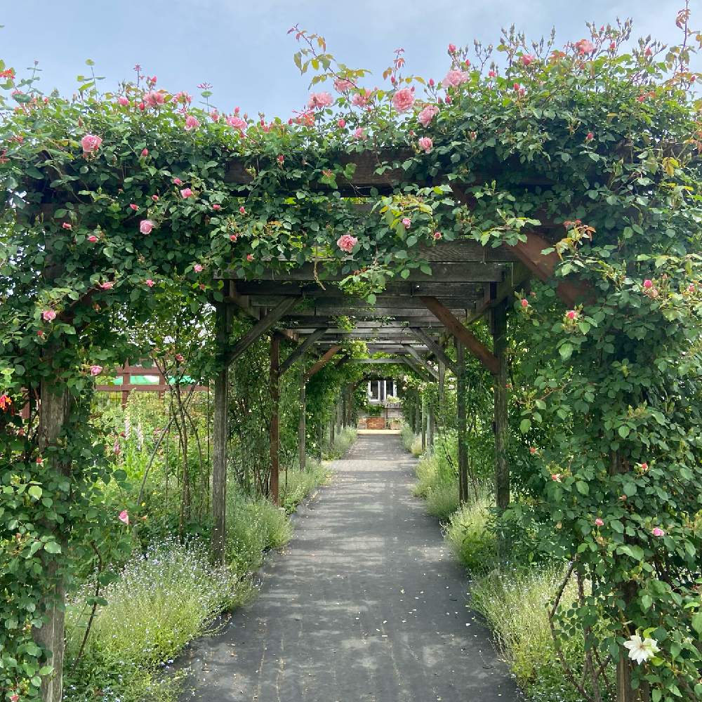 念願の 熊山英国庭園 Greensnap グリーンスナップ