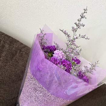 紫のお花の画像 by すみれさん | 部屋とカーネーション♡と母の日にと花のある暮らしと心の癒しと心がほっこりと紫のお花