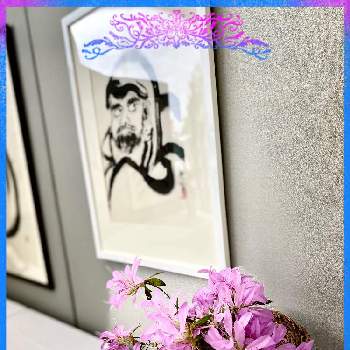 S銀行のおもてなし花の画像 by 織家さん | お出かけ先と山形とおもてなし花とS銀行のおもてなし花とどこでも植物と斑入り好き♡と朱赤LOVEと純白が好きとほんのりピンクが好きとS銀行とiPhone撮影