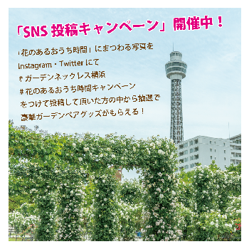横浜の画像 by 【公式】ガーデンネックレス横浜さん | yokohamaとガーデンネックレス横浜2022と横浜と花いろいろとガーデンネックレスと花のある暮らしとガーデンベアと花が好きな人と繋がりたい