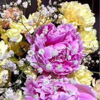 GS映え,GS日和,おうち園芸,花のある暮らし,シャクヤク( 芍薬 )の画像