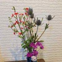 チェリーセージ,アルメリア,エリンジウム,花瓶,今日のお花の画像