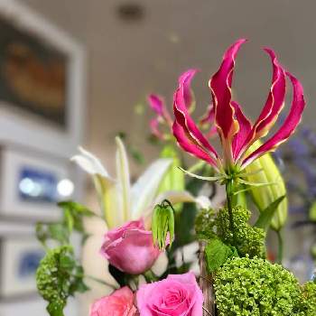 黄緑の花の投稿画像一覧 Greensnap グリーンスナップ