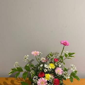  ガーベラの画像 by かすいさん | インテリアと庭のお花と洋風と庭の花とアレンジと花いろいろといけばなと君も花が好きなのかと花のある暮らしと創作花と ガーベラと生け花