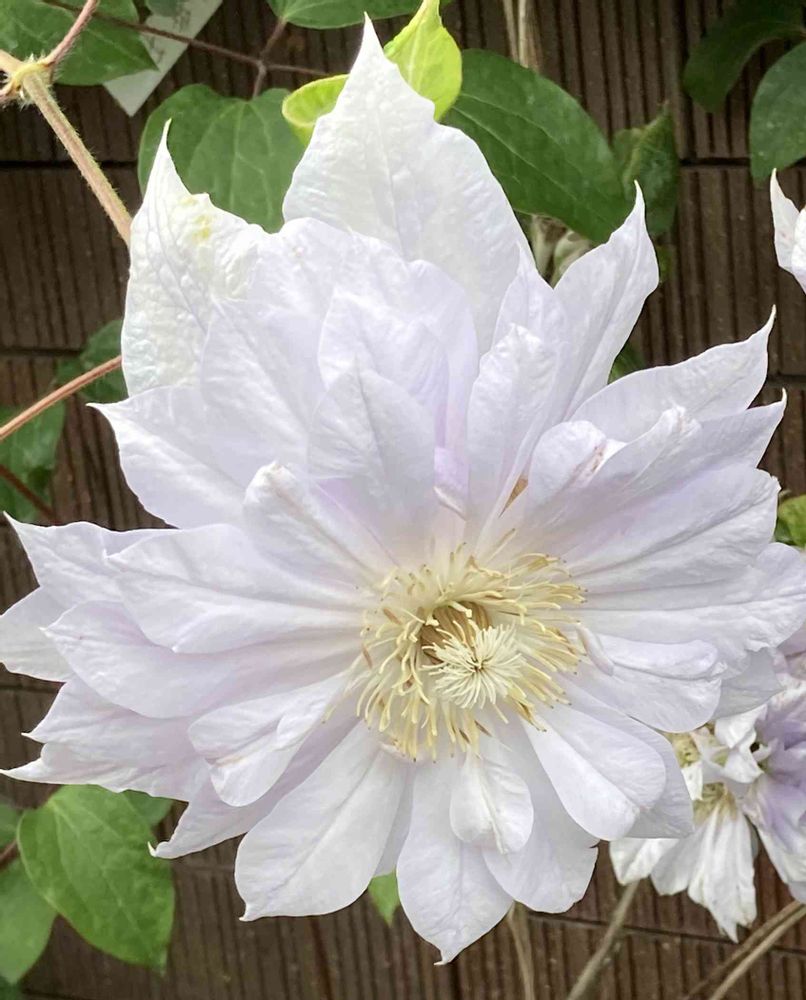 廣花奈さんの山下公園への投稿