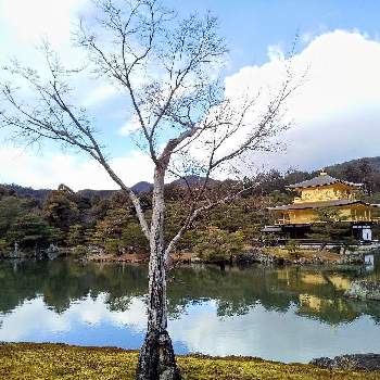 京都の画像 by 心ほっと。。。さん | お出かけ先と池のある風景と木のある風景と心ほっと。。。の空色と苔のある風景と心ほっと。。。京都と京都と水鏡と金閣寺とくも☁
