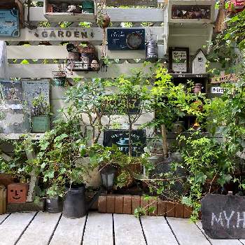 gardeningの画像 by mintさん | テラスと植物のある暮らしとgardeningと植物とナチュラルガーデンと癒しの場所とgardenカフェ風☕️とガーデニングと花のある暮らしとデッキガーデン