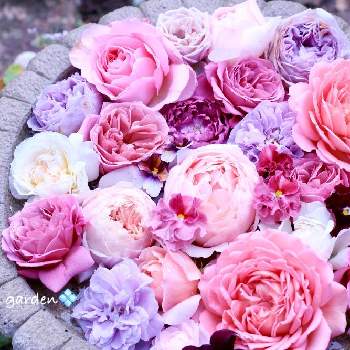 花のある空間の画像 by chamiさん | 小さな庭と花のある空間とばら バラ 薔薇と薔薇愛同盟と薔薇に魅せられてとマイガーデンとナチュラルガーデンとはなのある暮らしとナチュラルスタイルと花のある暮らしと薔薇♪とフローティングフラワーと花手水