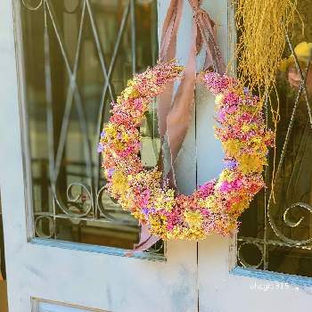 花や蔦ひつじの投稿画像一覧 Greensnap グリーンスナップ