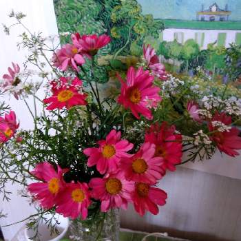 マーガレット♡の画像 by のぶこさん | ウクライナに平和をとお花に癒されてとGSに感謝。と妄想倶楽部と花のある暮らしとマーガレット♡と１９日はピンクの日