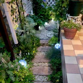 夜の庭の画像 by hinamama ♡さん | 小さな庭とカラーリーフとコンクリート枕木と夜の庭とガーデンライトとシェード小道