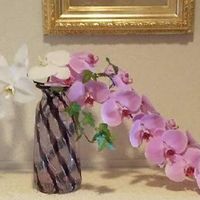 胡蝶蘭,ピンクの花,花のある暮らし,優雅,花瓶の画像