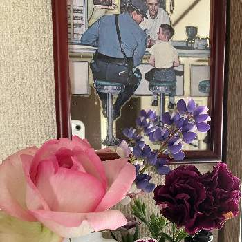 香りを楽しむの画像 by カットニス♡さん | 棚と薔薇 ドライフラワーと香りを楽しむとドライフラワーとルピナス♡と癒しとナデシコ☆と薔薇♪