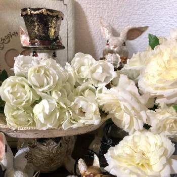 白いバラの画像 by ミルココさん | 部屋とフェリシアとバラ ホワイトマザーズデイとばら バラ 薔薇と白いバラとバラのある暮らしと花のある暮らしとバラ・ミニバラ