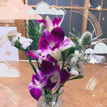 切花の画像 by クミピさん | デスクと切花と花のある暮らしと❤️いいね、ありがとうとブルーミー(bloomee)