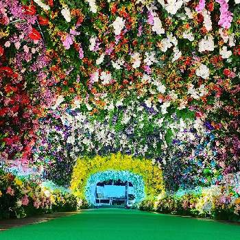 花屋の画像 by N2 中島農園さん | お出かけ先とみどりのある暮らしと熊本と装飾とイベントとフラワーと生花と花屋とフラワーアレンジメントとワークショップ と熊本花博