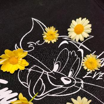 マーガレット☆の画像 by 黒ねこさん | キッチンとニャンニャン祭りとGSの繋がりに感謝♡とGS3年生とはなのある暮らしと黄色の花と平和な日々を願いと黒にゃんこ隊とマーガレット☆